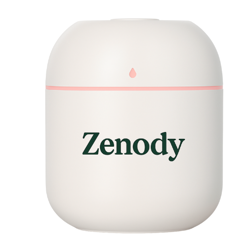Humidificateur d'air